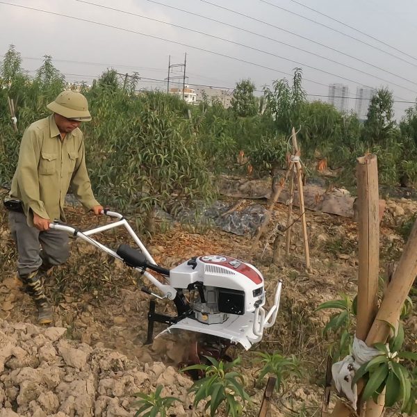 Máy xới đất mini đa năng Kachita chống rung JP-02WG4