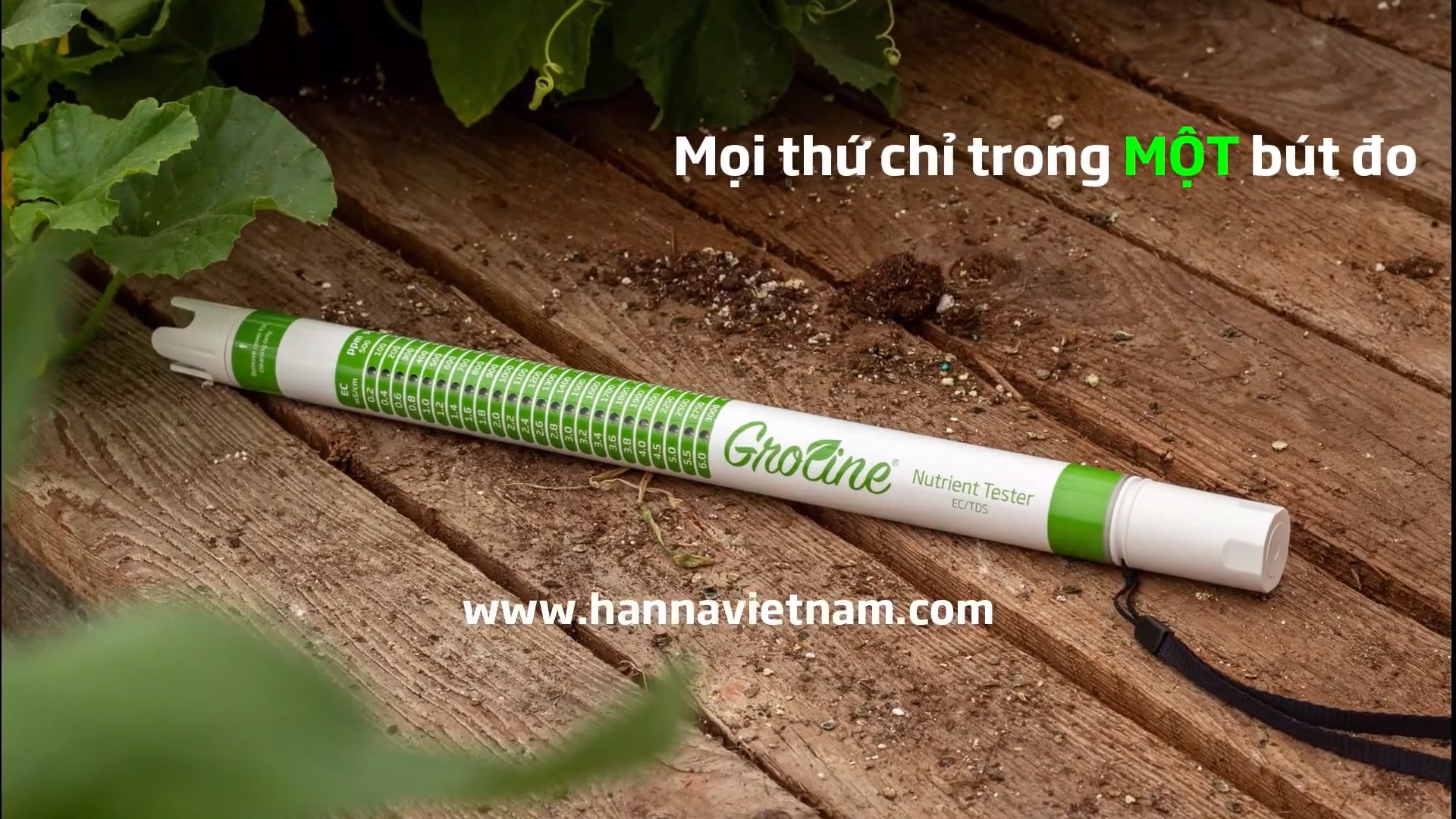 but do dinh duong dat hanna 3